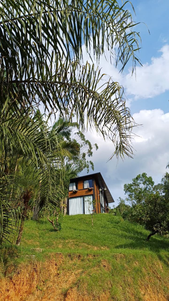 Cabana Angillyn no gramado, integrada à paisagem do vale